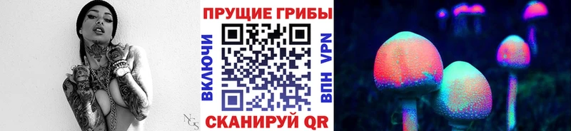 как найти закладки Энем Псилоцибиновые грибы Cubensis